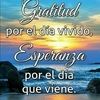 vivianlima